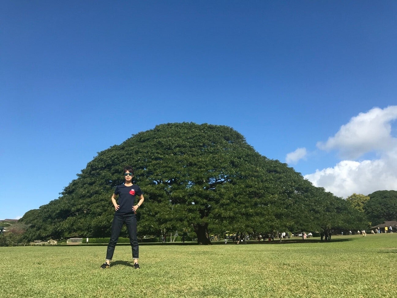 佐藤 菜美さんからの応援コメント Campfire キャンプファイヤー