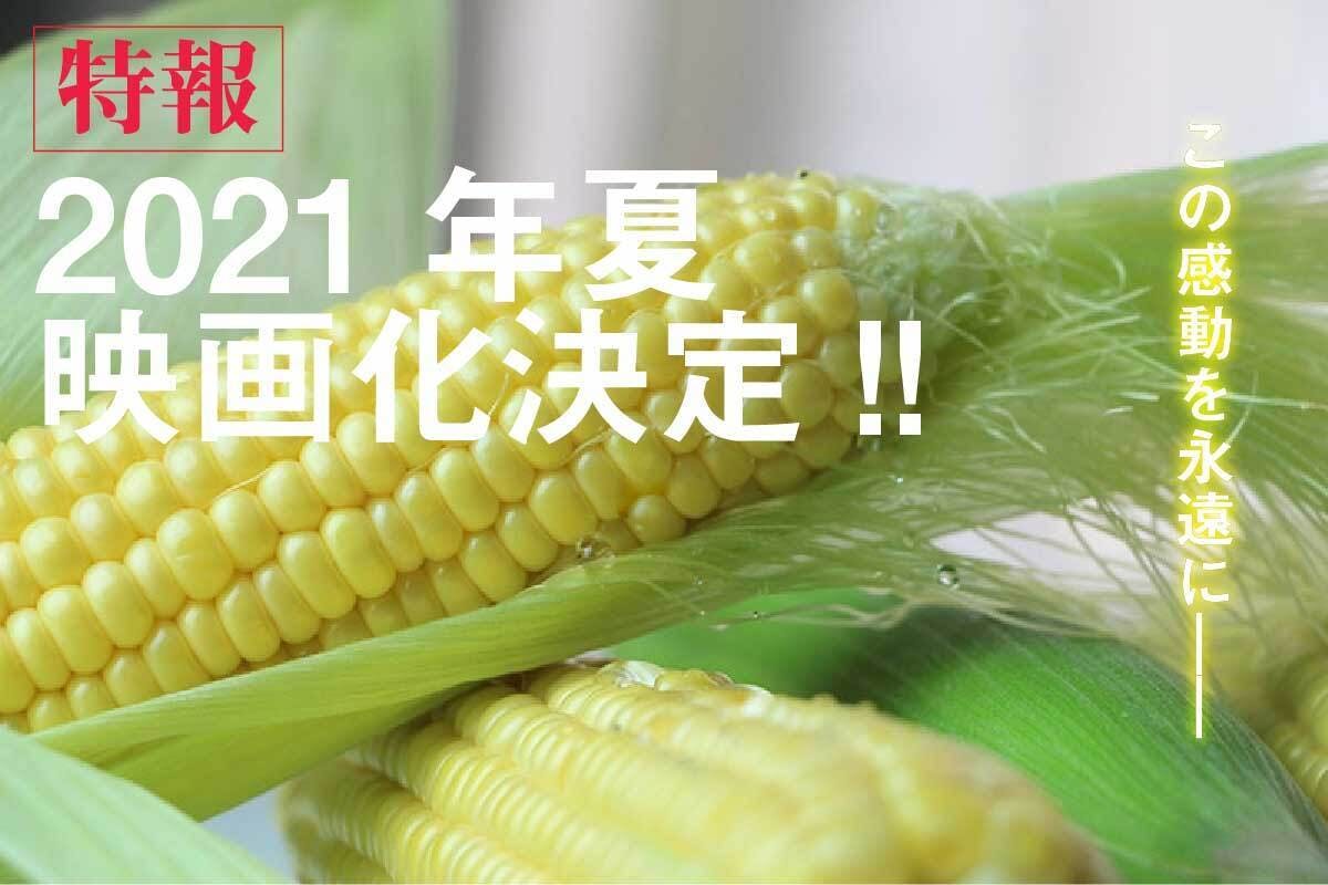 しろみつとろきび が危ない 北海道江別市を世界一おいしいとうもろこしの産地に アクティビティ Campfire キャンプファイヤー しろみつとろきび が危ない 北海道江別市を世界一おいしいとうもろこしの産地に アクティビティ Campfire キャンプファイヤー