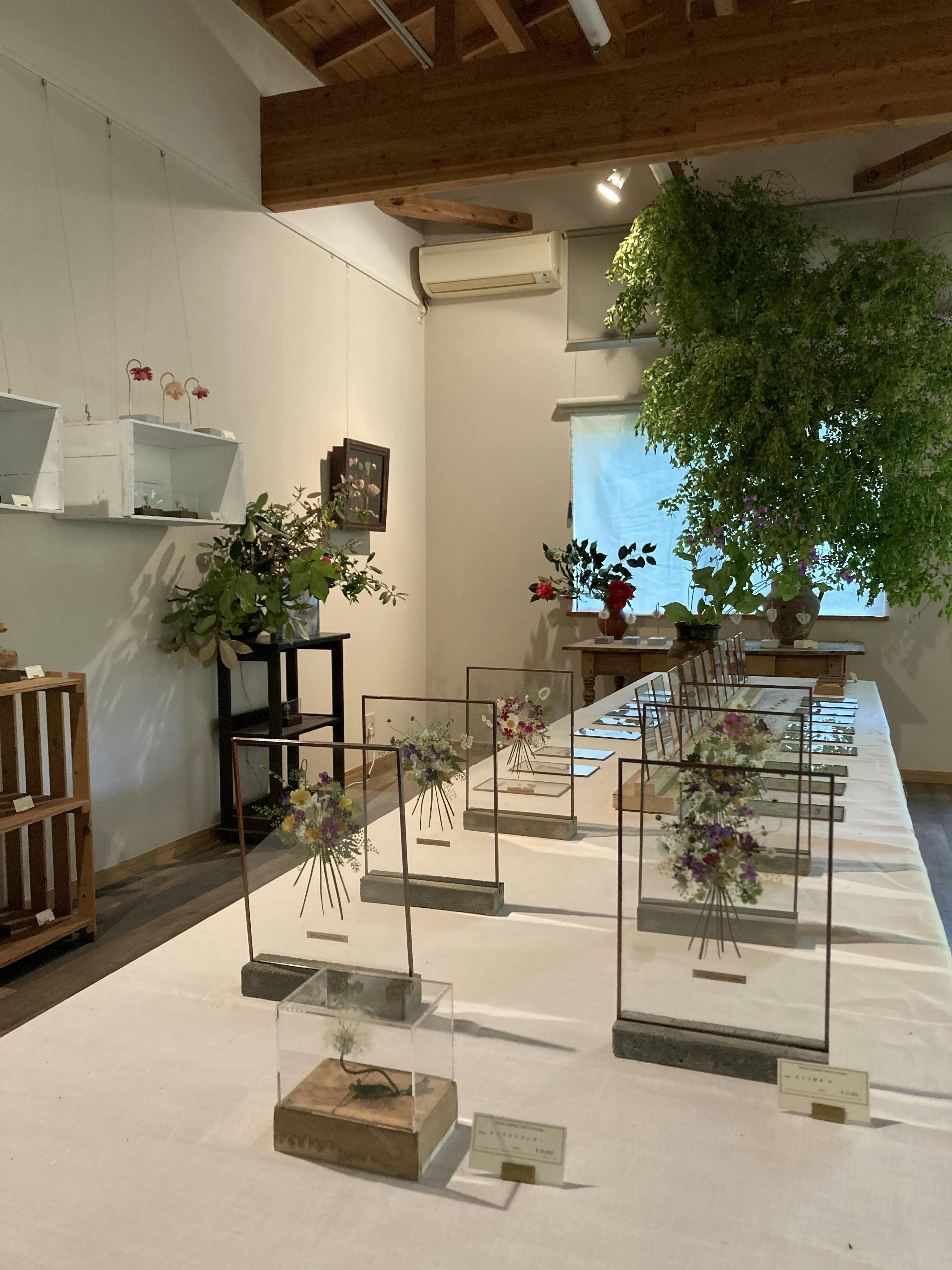 返礼品のご紹介 はいいろオオカミ 花屋 西別府商店 様のご紹介とつくば牡丹園限定作品につい Campfire キャンプファイヤー