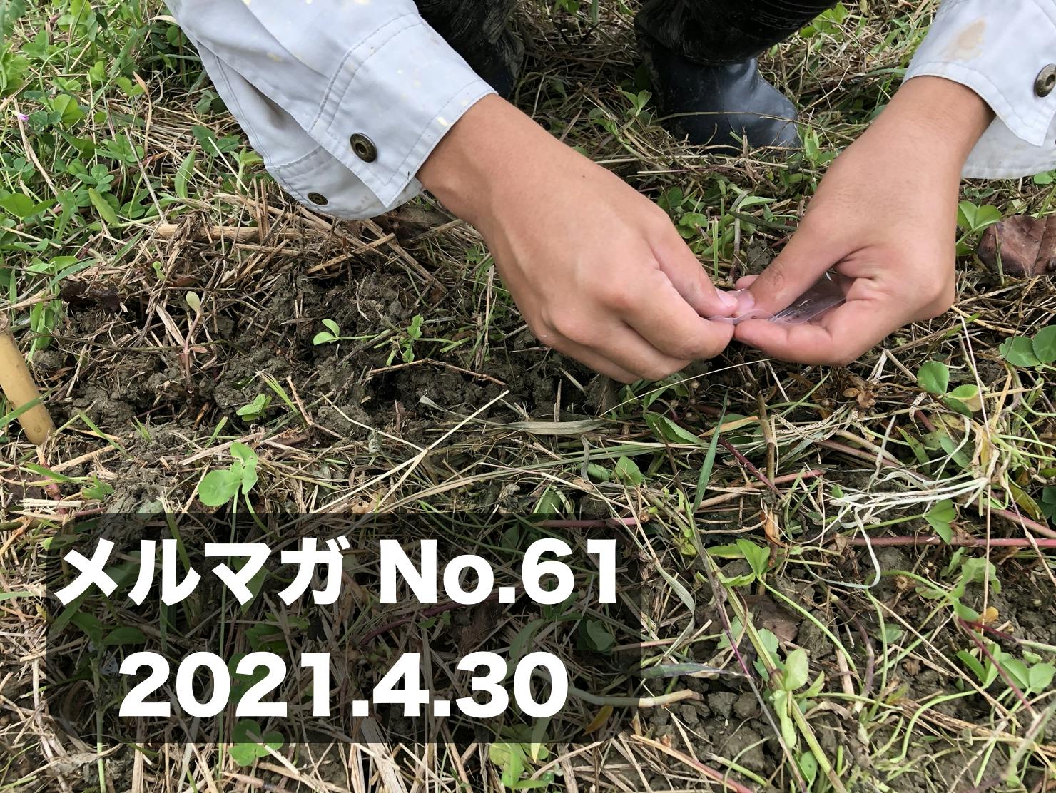 61 光合成には限界もある 生育不良の原因は光の当てすぎが原因ということも Campfireコミュニティ