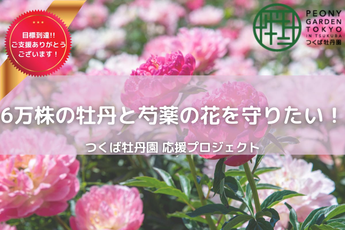 6万株の牡丹と芍薬の花を守りたい つくば牡丹園応援プロジェクトアクティビティ Campfire キャンプファイヤー 6万株の牡丹と芍薬の花を守りたい つくば牡丹園応援プロジェクトアクティビティ Campfire キャンプファイヤー