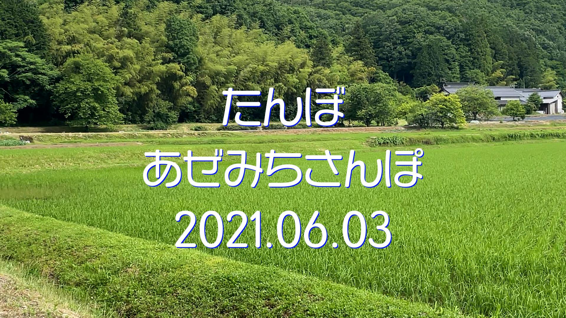 田んぼページ 避暑地横に広がる、あさひ町 舟川べり田んぼアート: どこでも参上 魚津