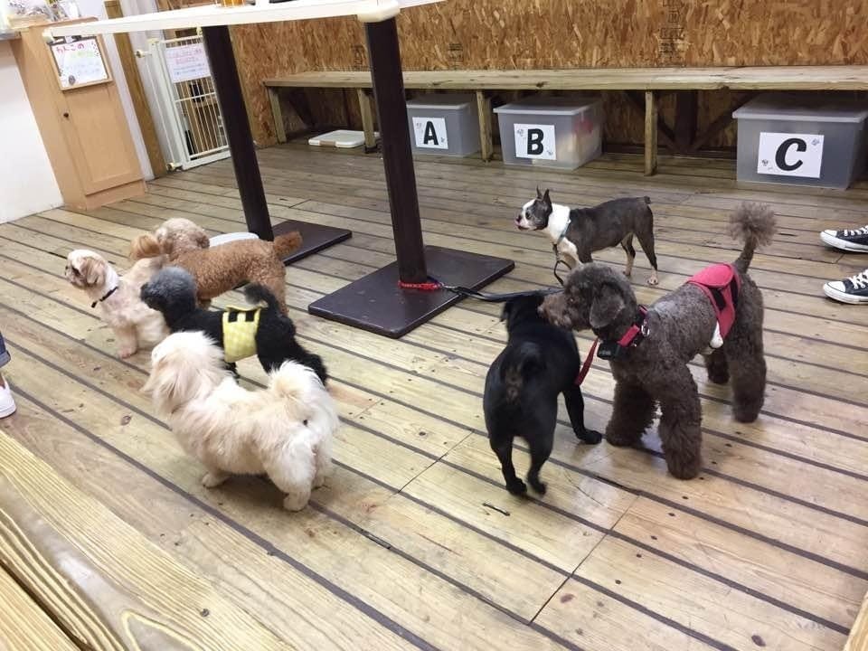 51F48CE8-4839-45BE-AC2B-