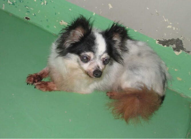 o06680486149549463221.jpg?