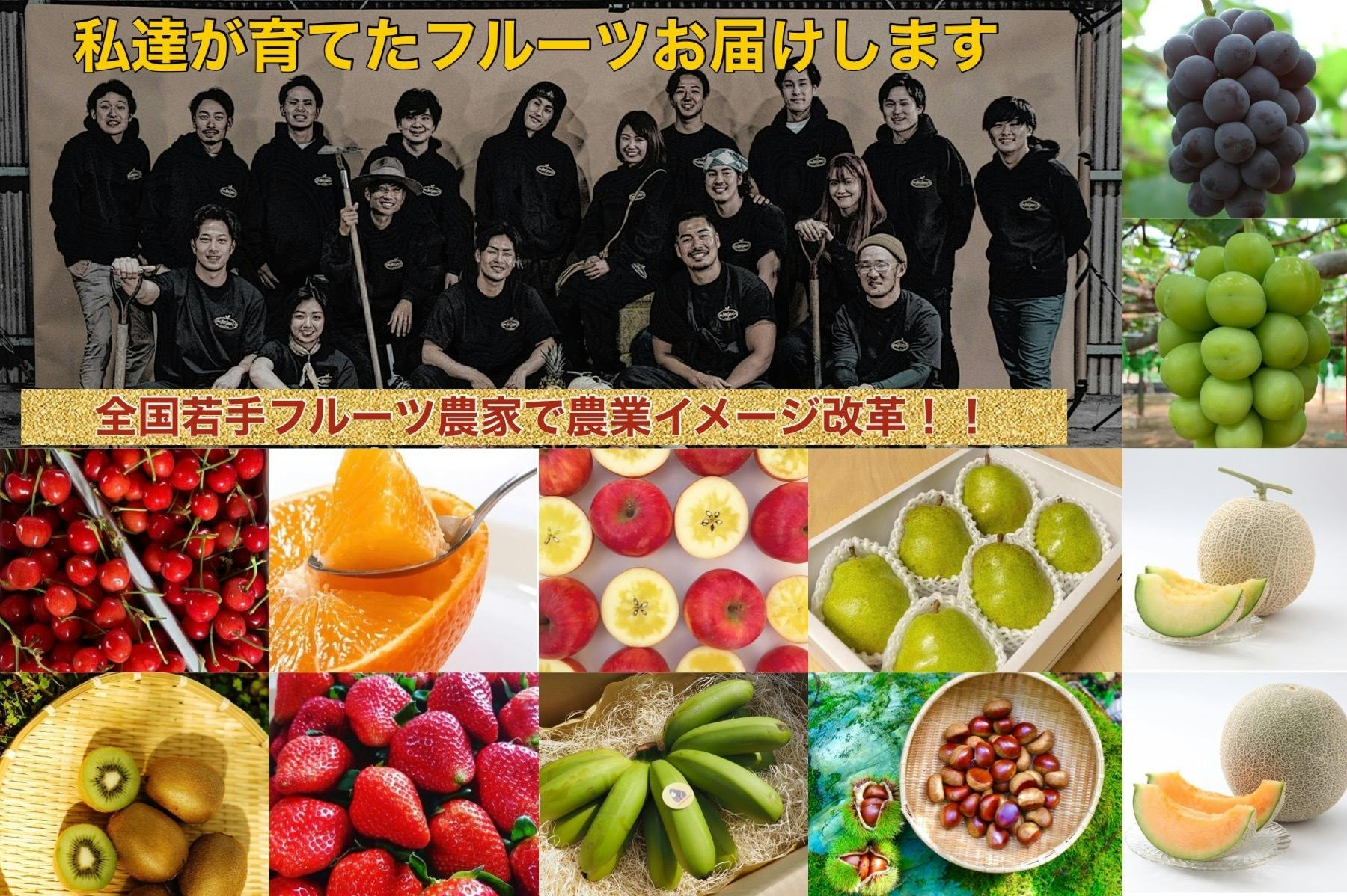 日本の農業を救いたい!〜全国の若手フルーツ農家で農業イメージ改革