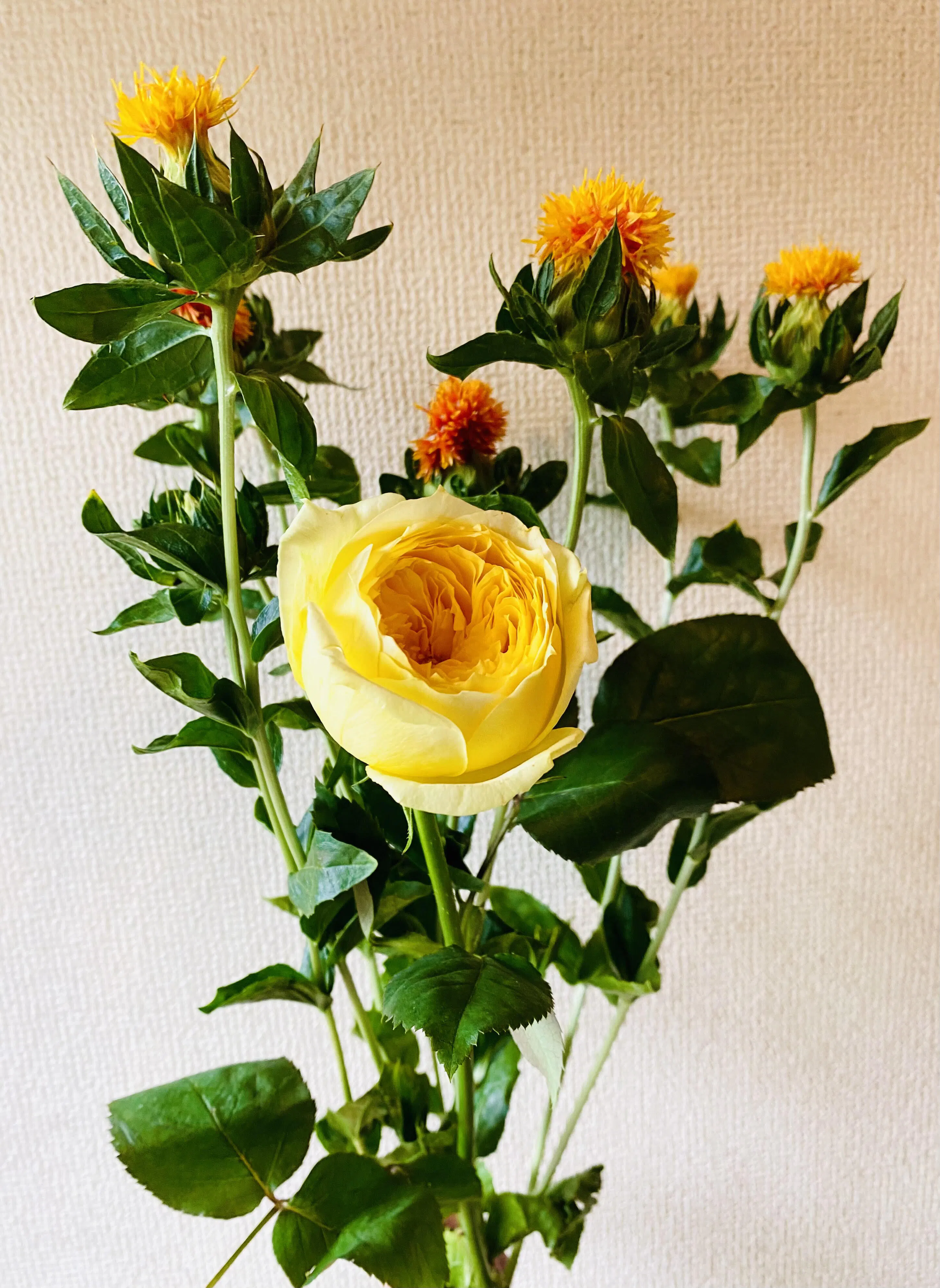 花屋 Eden 厳選した季節の花が届くサブスクリプション のアクティビティ Campfireコミュニティ