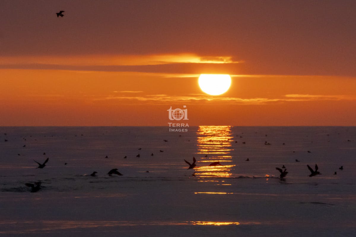 _DSC6049-1.jpg?ixlib=rails-2.1