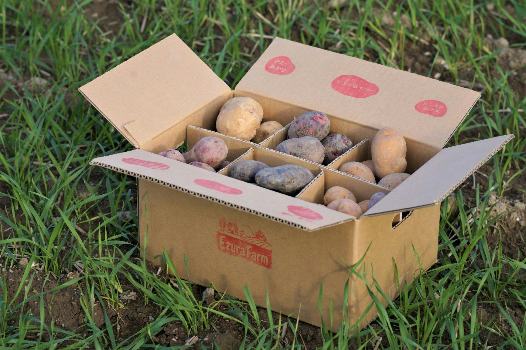 未来へつなぐ命の輪プロジェクト 小さな町の子どもたちに大きな笑顔を届けたい アクティビティ Campfire キャンプファイヤー