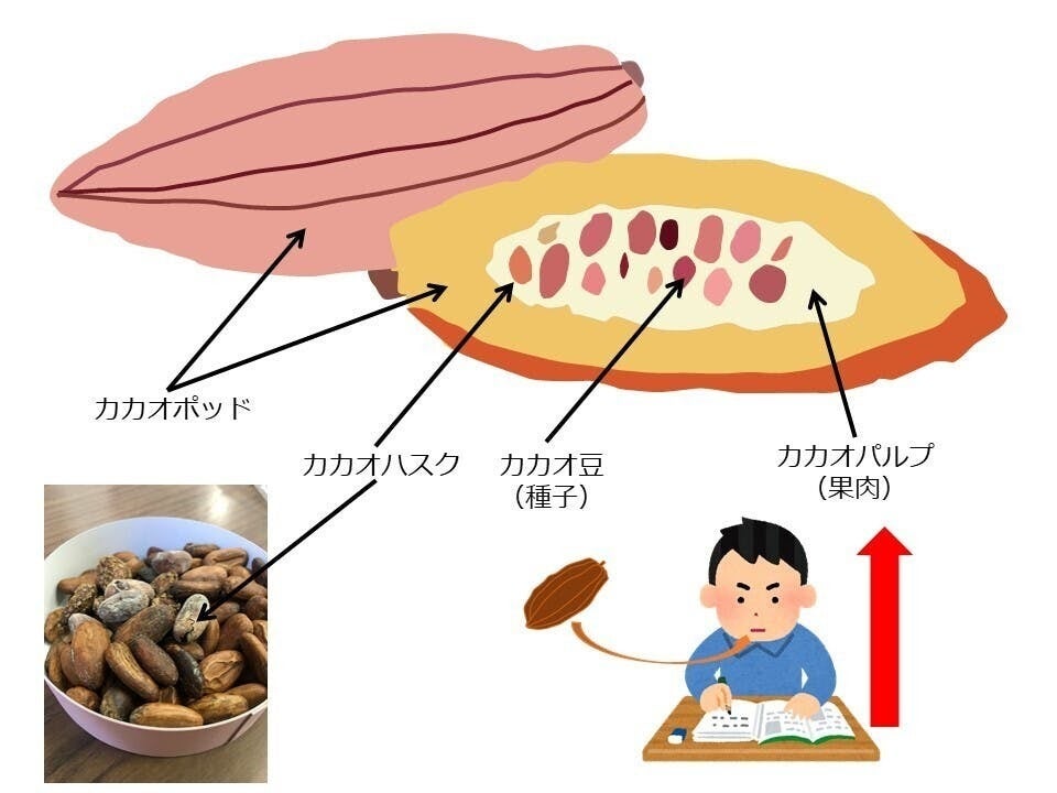 カカオハスク入りチョコで集中力up!! CAMPFIREコミュニティ