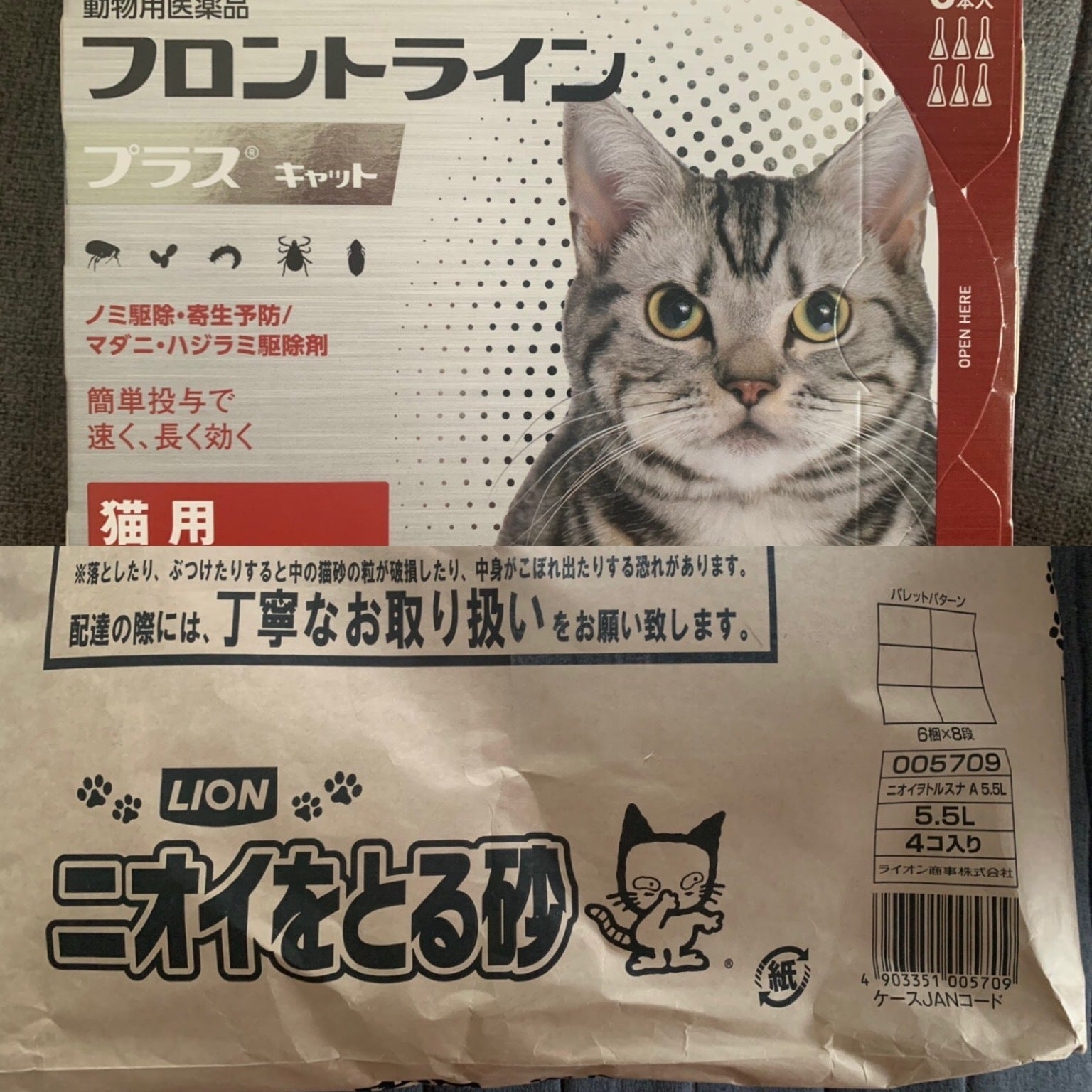 野良猫の避妊、去勢手術をして、快適猫庭で過ごしてもらいたい