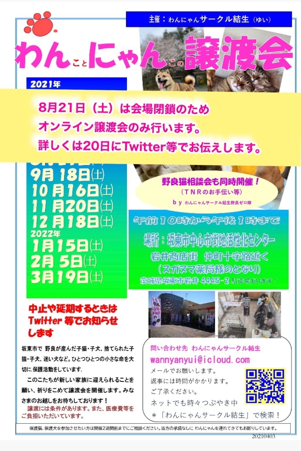 活動報告 ８月の地元譲渡会は中止となりました Campfire キャンプファイヤー