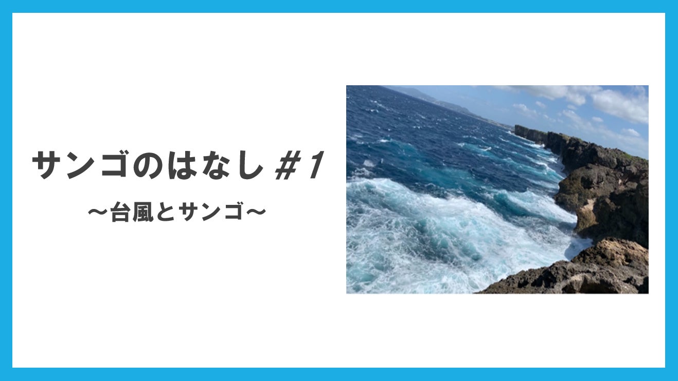 サンゴのはなし #1】サンゴと台風の関係 - CAMPFIRE (キャンプファイヤー)