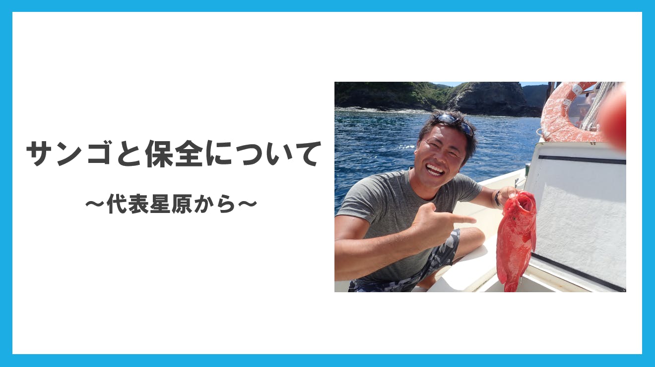 サンゴと保全について ナチュラルブルー代表 星原から Campfire キャンプファイヤー