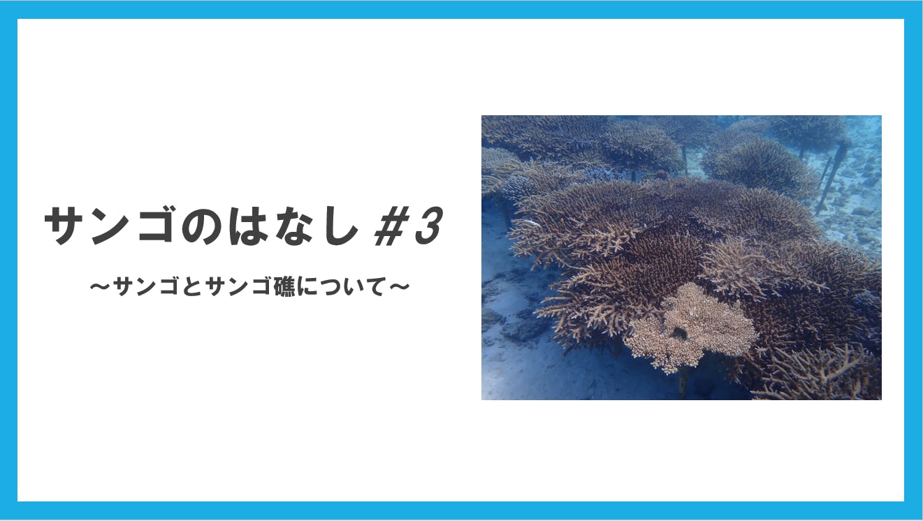 サンゴのはなし 3 サンゴとサンゴ礁について Campfire キャンプファイヤー