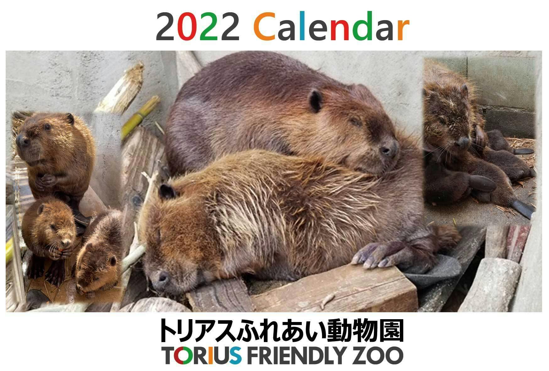 返礼品を追加しました 飼育員が撮ったビーバー写真で作った卓上カレンダー オリジナルデザイ Campfire キャンプファイヤー