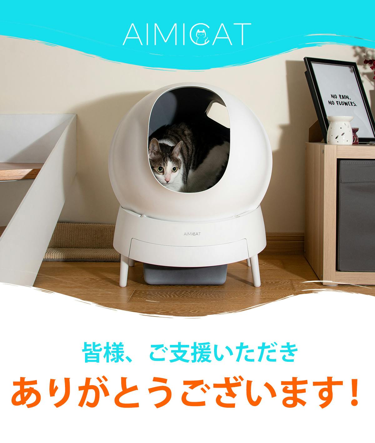 猫用自動トイレ 【強力脱臭＆高精度センサーでもっと快適な自動猫 ...
