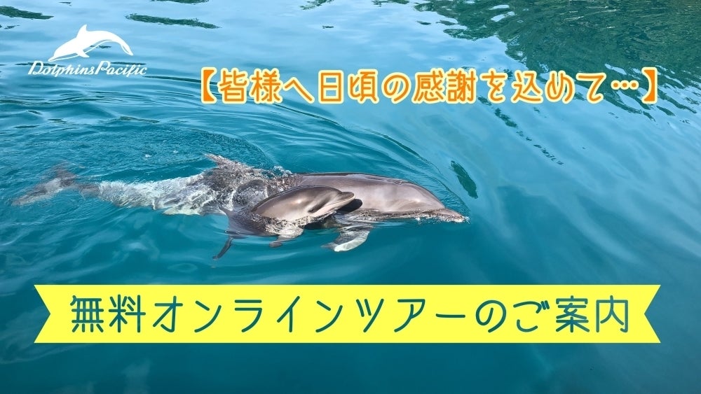 無料オンラインツアーのご案内 Campfire キャンプファイヤー