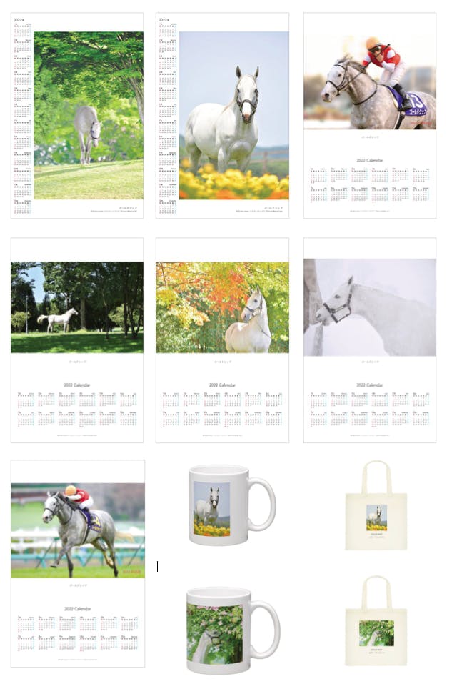 ♢美しい馬の写真集を作りたい♢サラブレッドビューティー