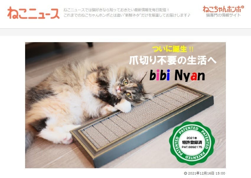ねこニュース_12月16日_.jpg?