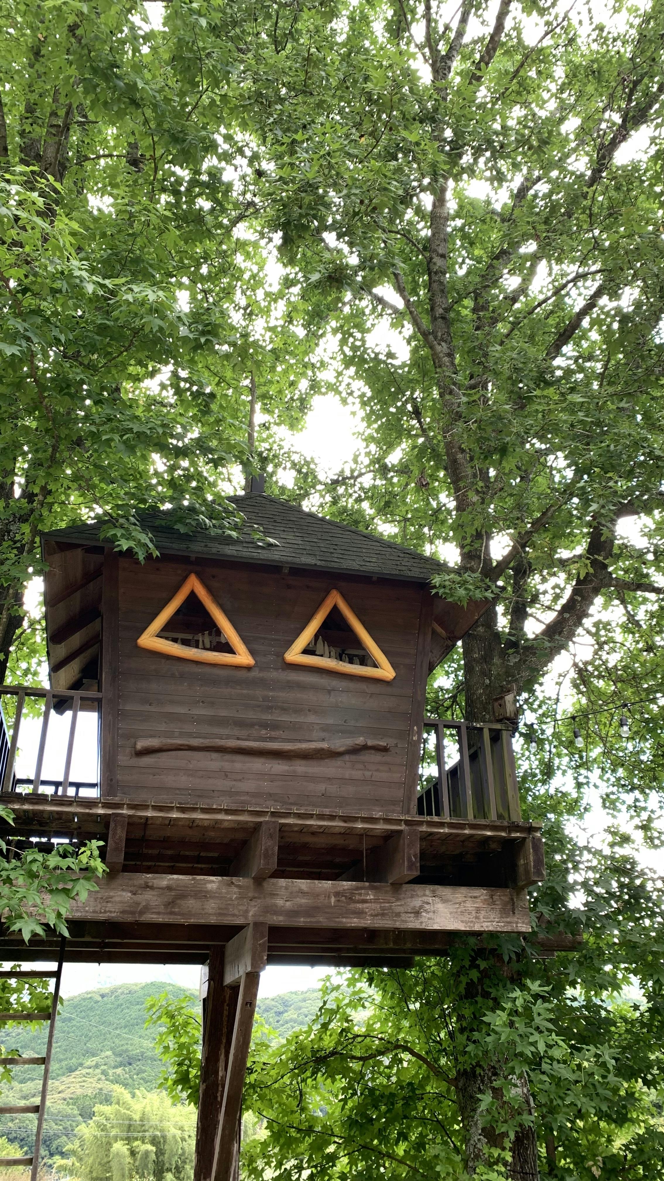 バルンバルンの森 もっとよくする計画 あたらしいツリーハウスをつくる アクティビティ Campfire キャンプファイヤー