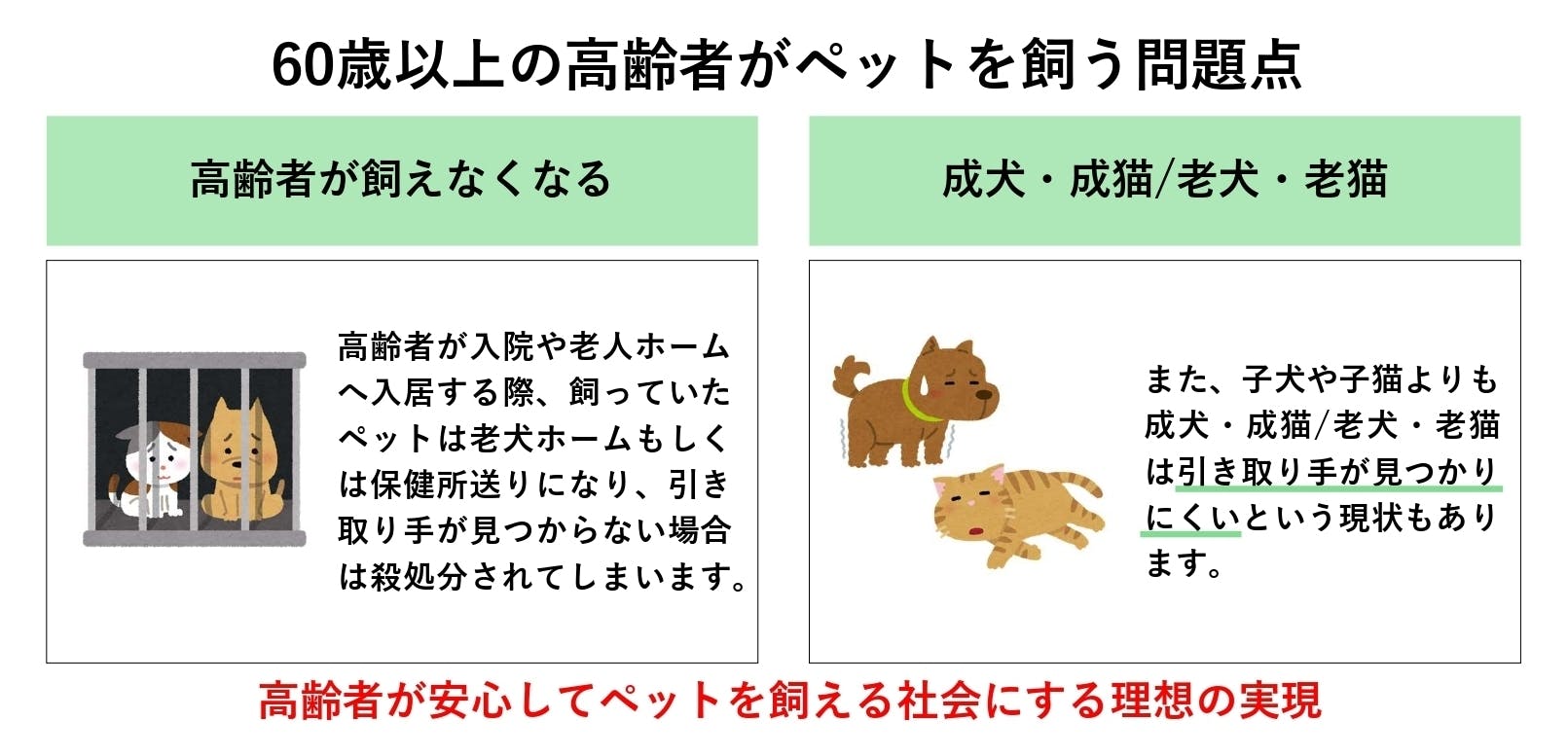 高齢 者 ペット ストア 飼え ない