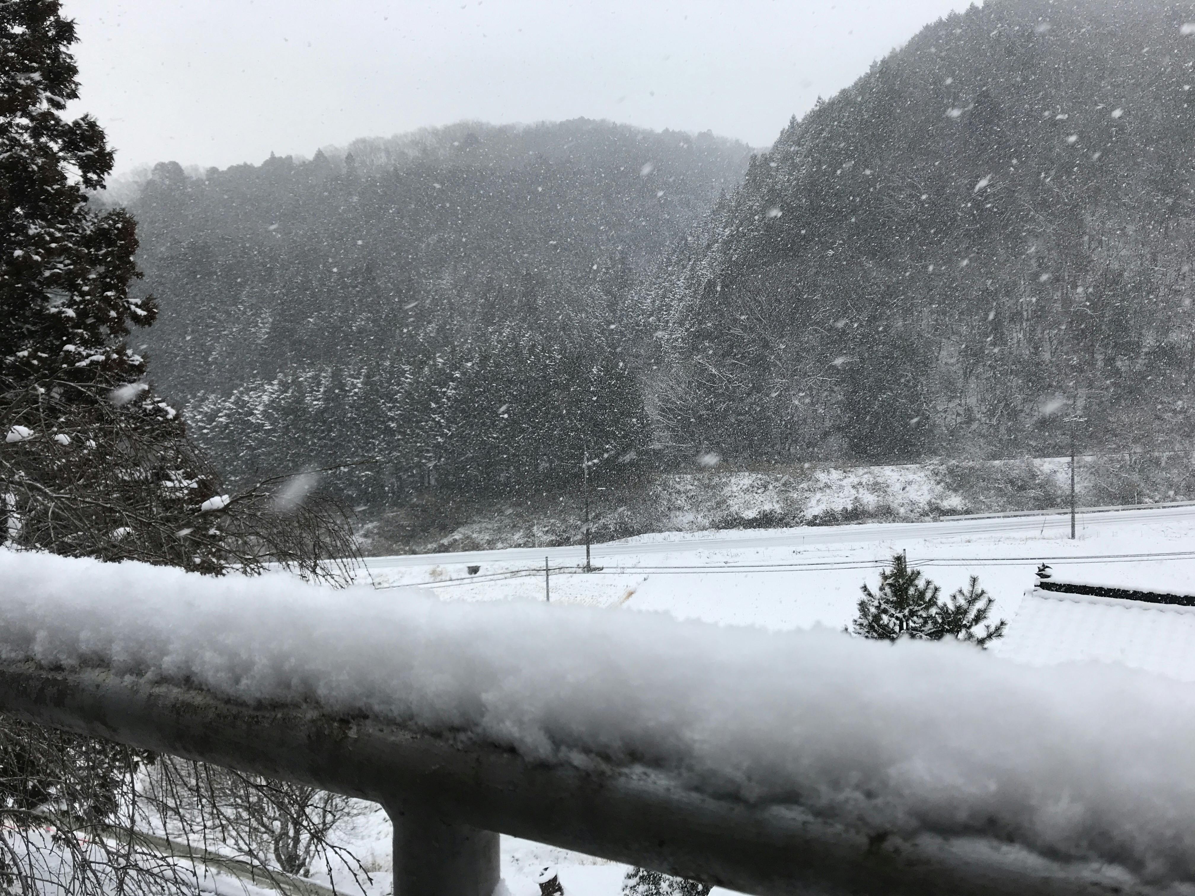 雪 Campfire キャンプファイヤー