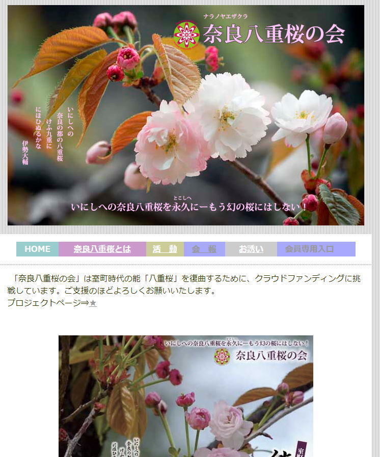 八重桜様専用ページ (八重桜と桜の写真素材|写真素材なら 八重桜様専用ページ (八重桜と桜の写真素材|写真素材なら