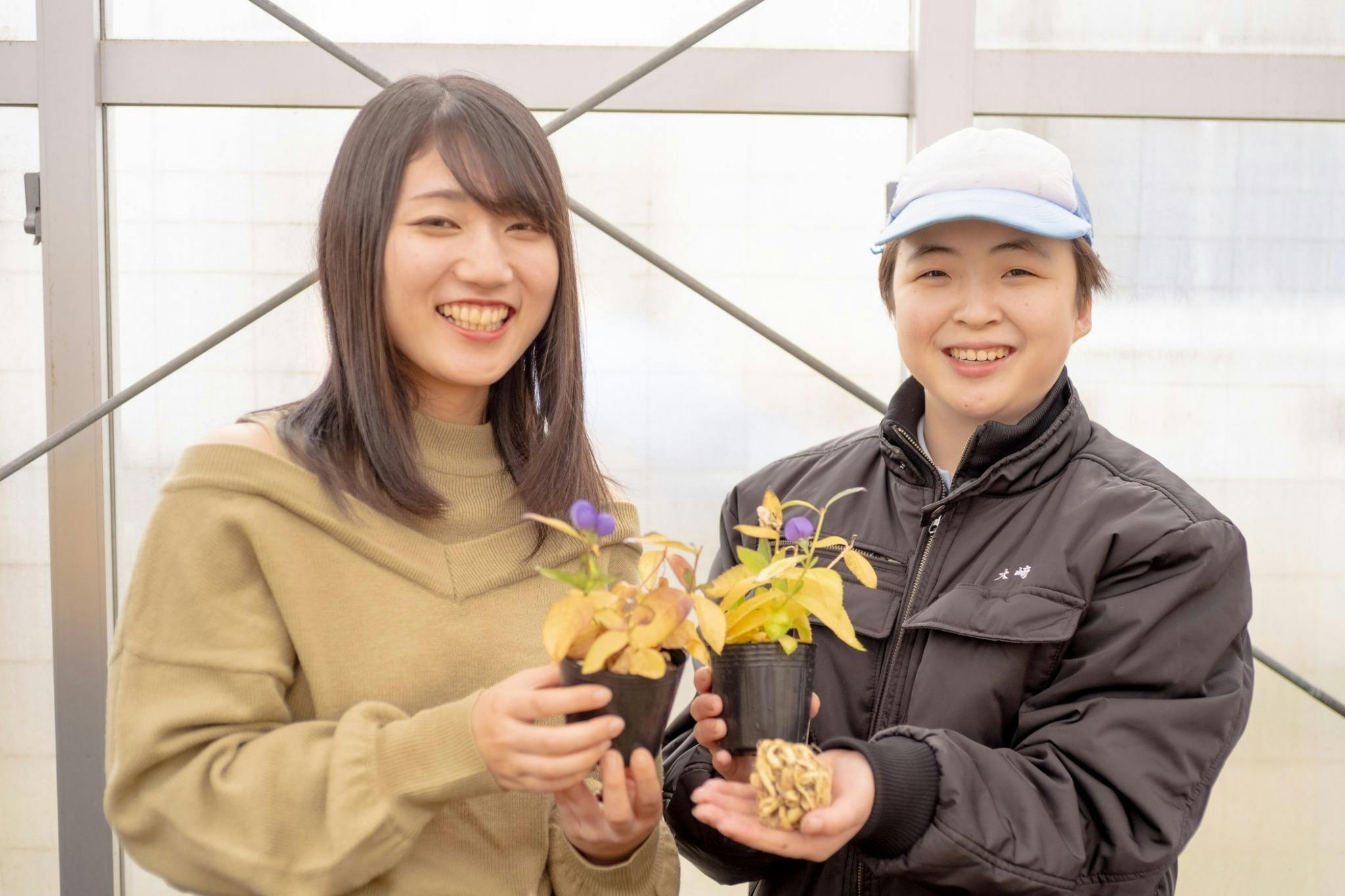 福知山産キキョウ成分を活用した洗顔せっけんで女性と子供の肌トラブル