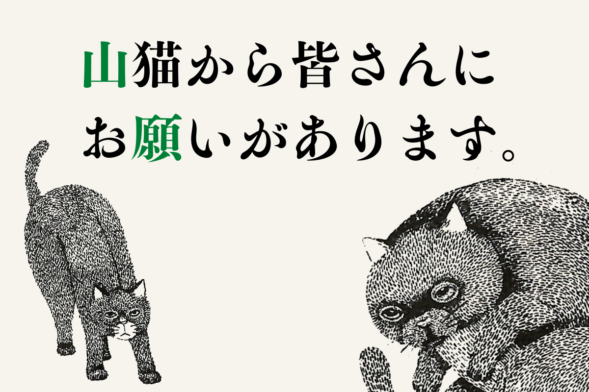 山猫から皆さんにお願いがあります Campfire キャンプファイヤー