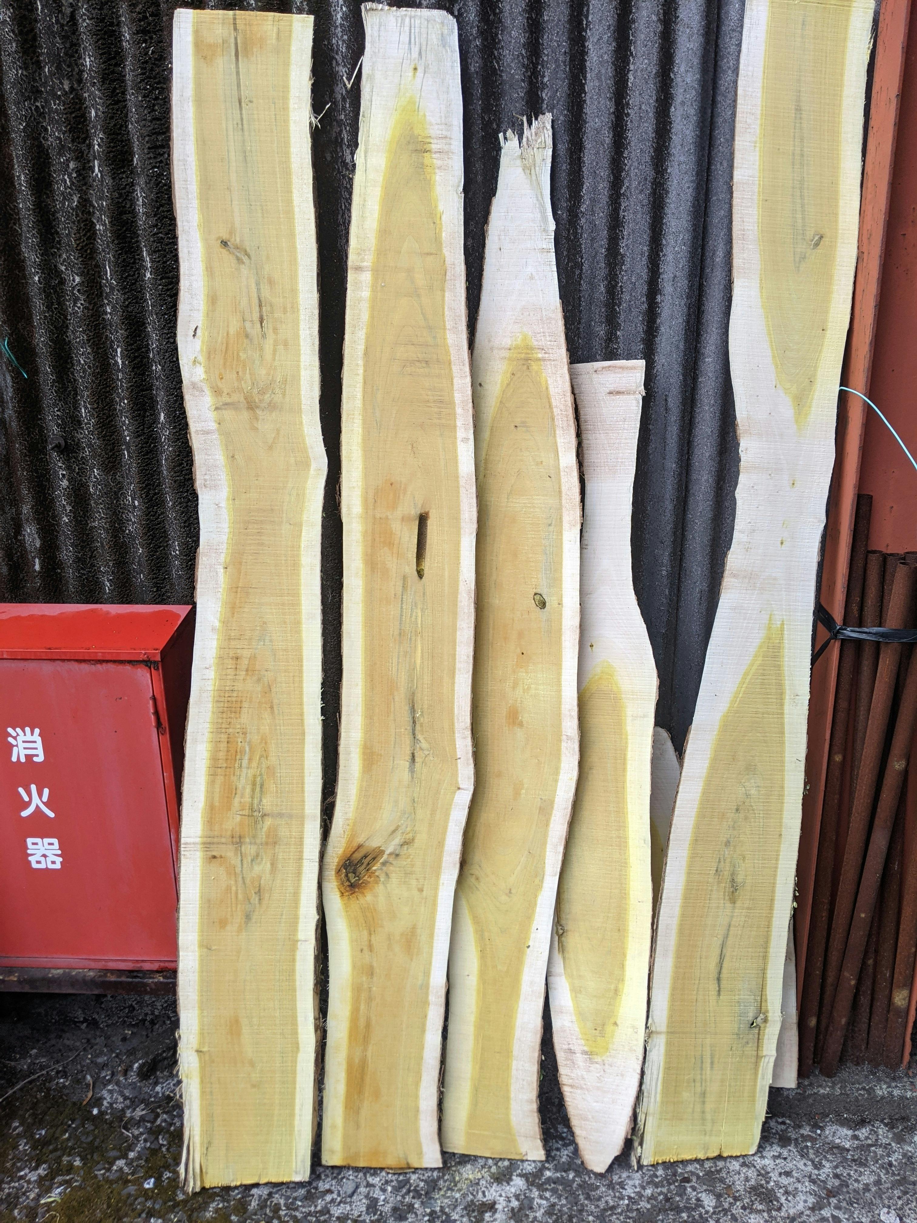 ハゼノキの断面 - CAMPFIRE (キャンプファイヤー)