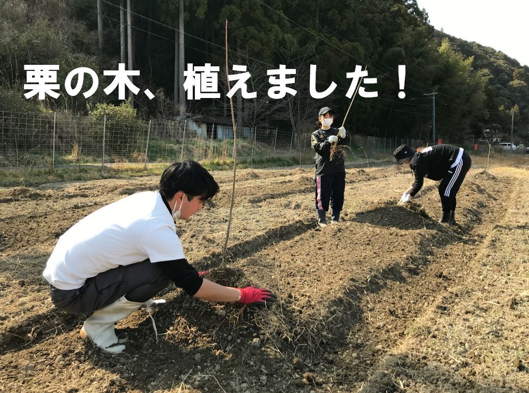 3月 いよいよ栗の木を植えました Campfire キャンプファイヤー