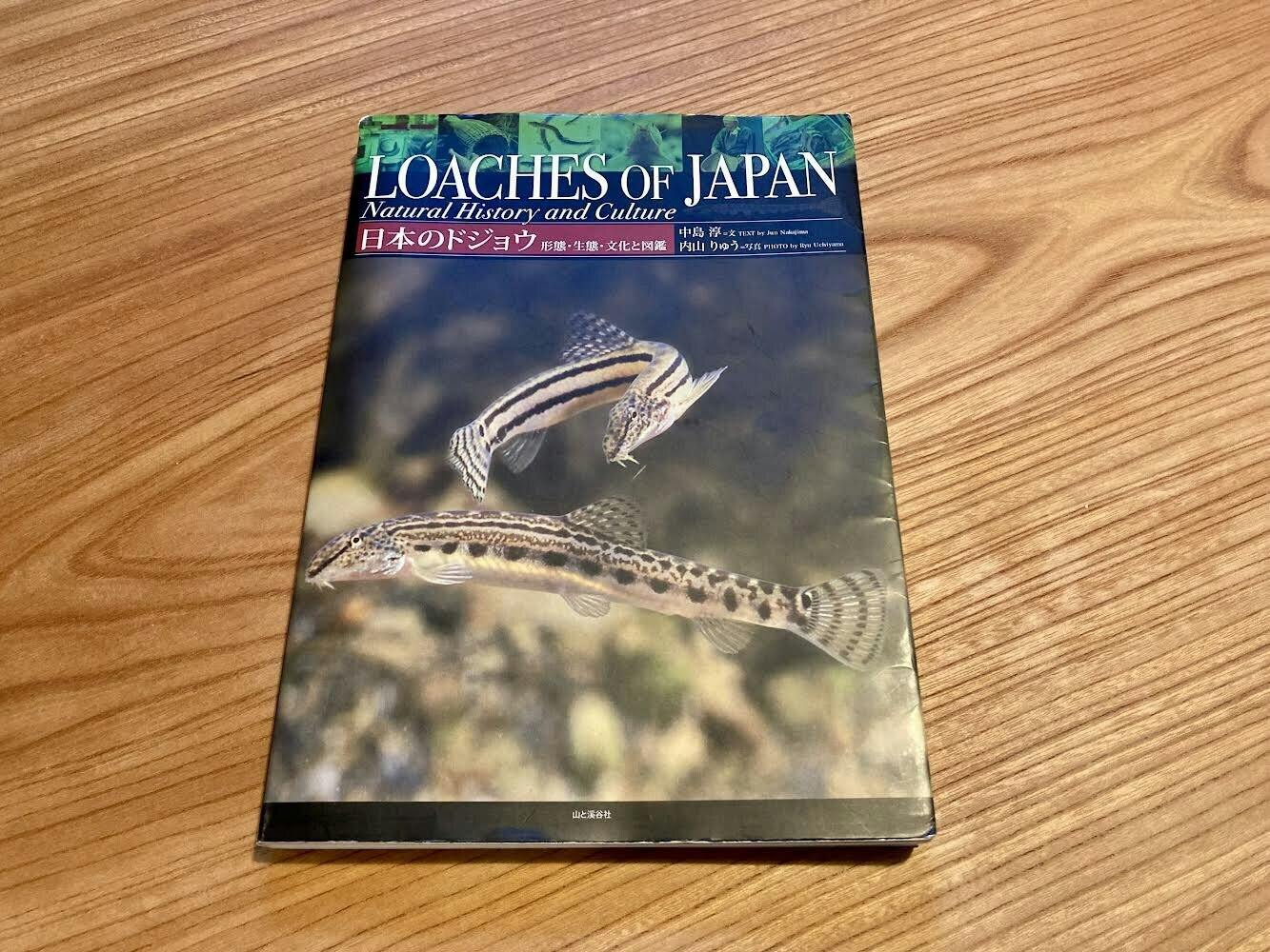 ドジョウの本を読みました Campfire キャンプファイヤー