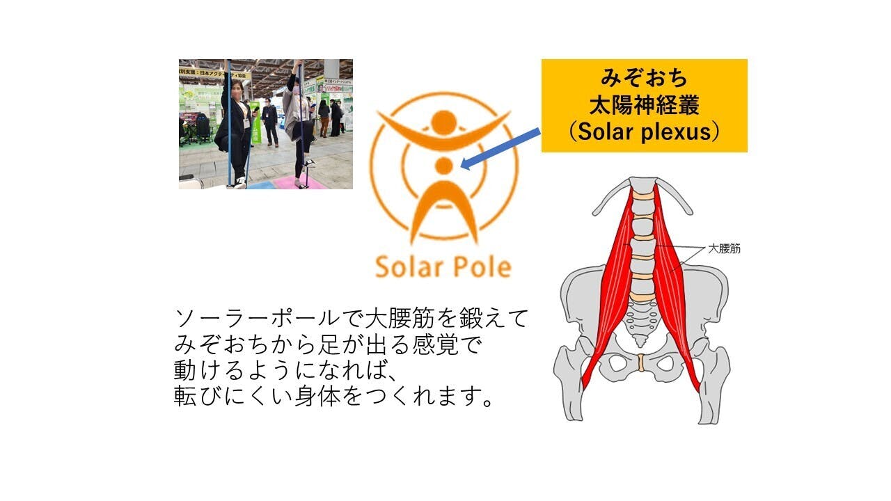 太陽 神経 叢