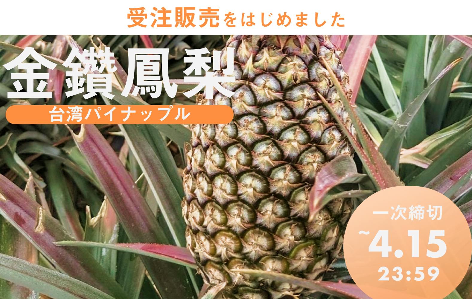 受注販売 芯まで食べられる 台湾パインの旬がはじまりました Campfire キャンプファイヤー