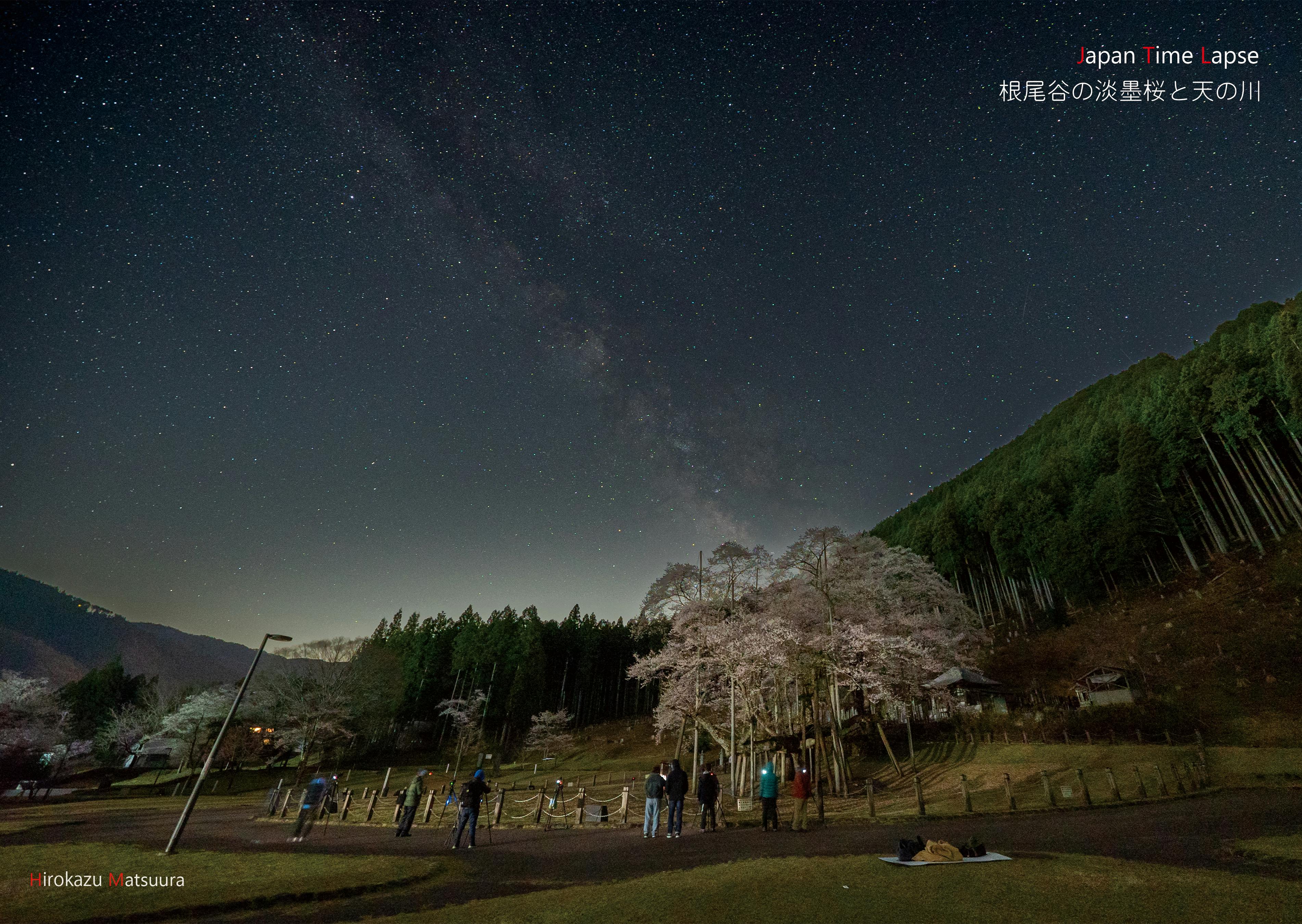 天の川と根尾谷の薄墨桜を撮影してきました - CAMPFIRE (キャンプ