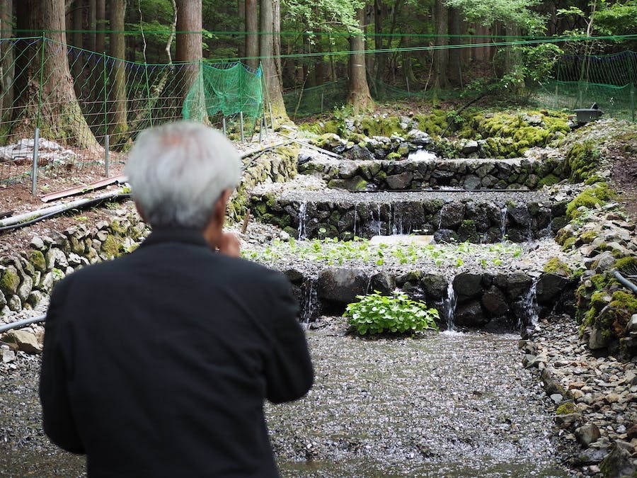 養老孟司先生が わさび田の視察にお越しになられました Campfire キャンプファイヤー