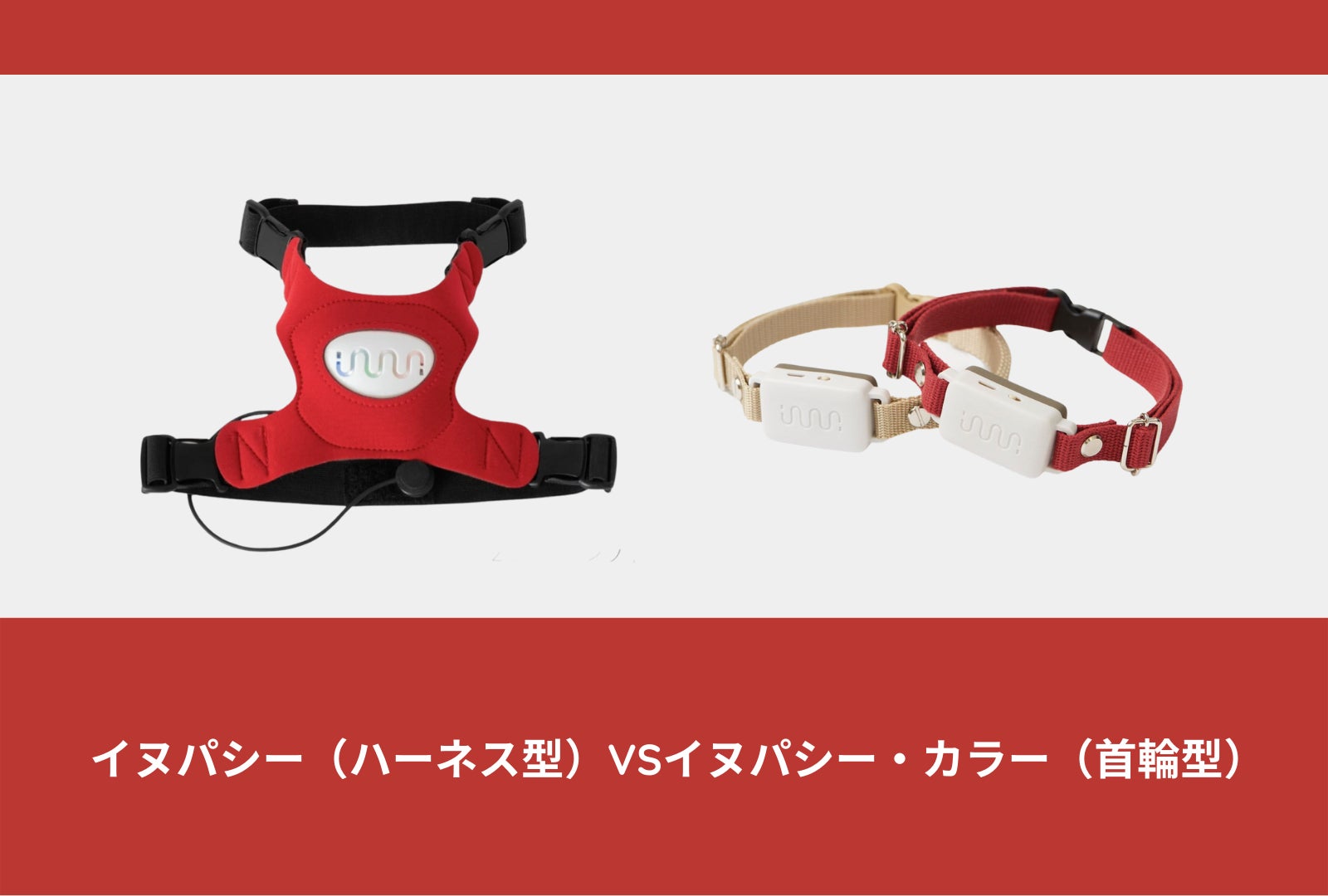 値下げ！イヌパシー Sサイズ グリーン イヌパシー】愛犬のこころをよみ