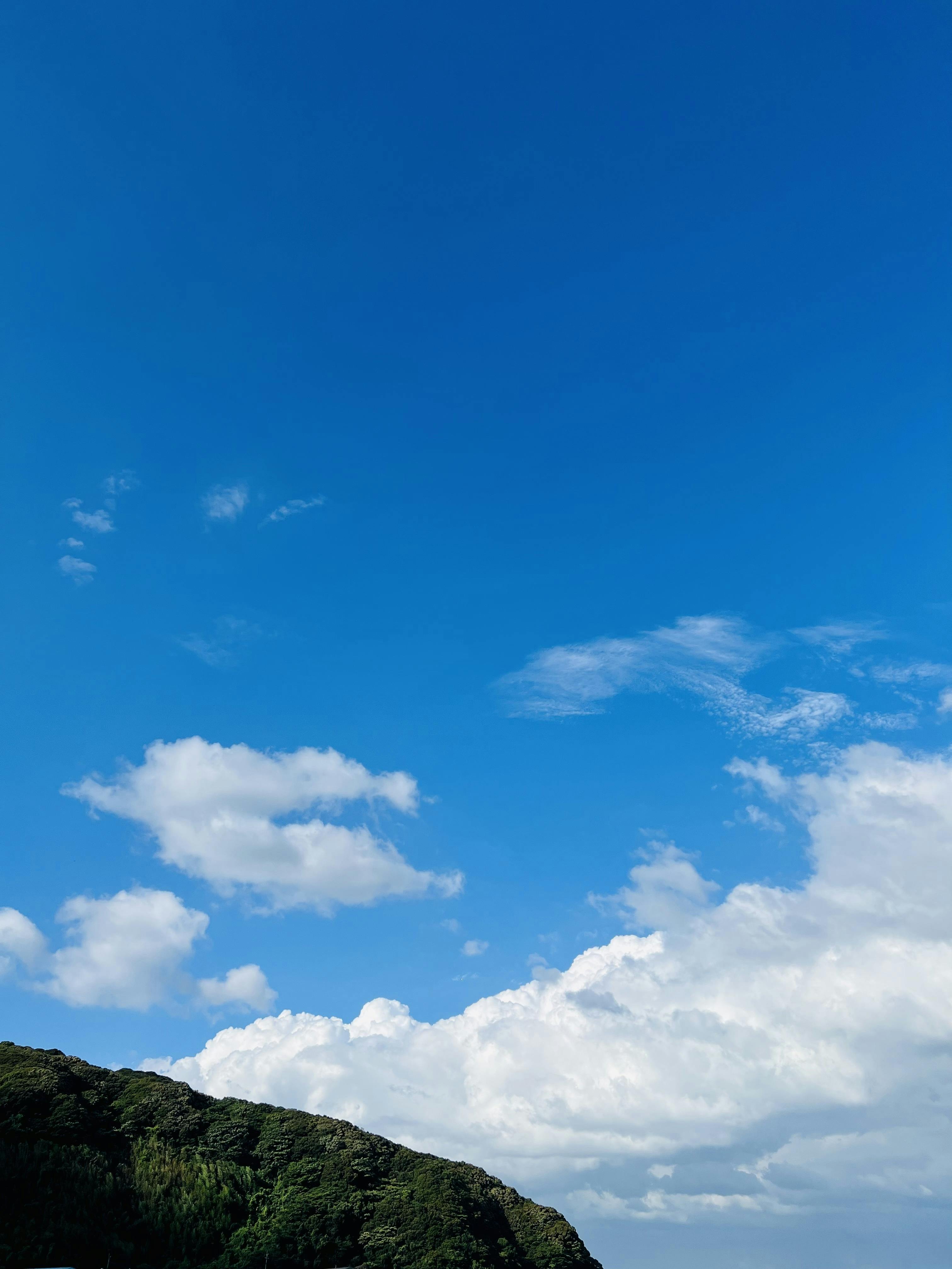 フリーセックス 