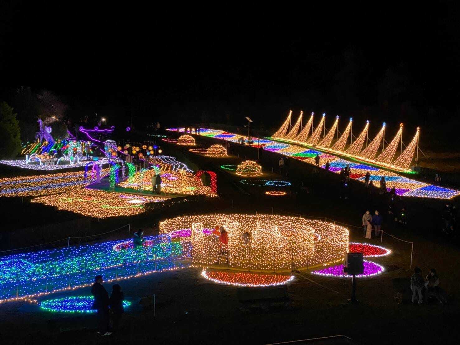 21世紀の森公園のイルミネーションに込められた想い - CAMPFIRE