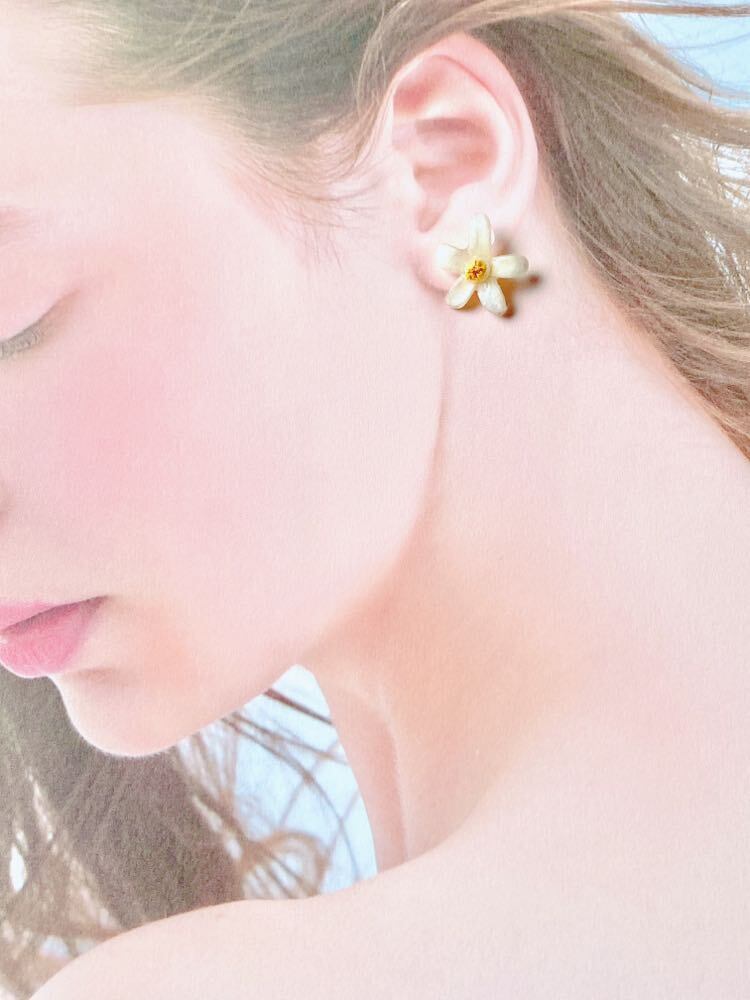 公開1週間が経過しました Campfire キャンプファイヤー