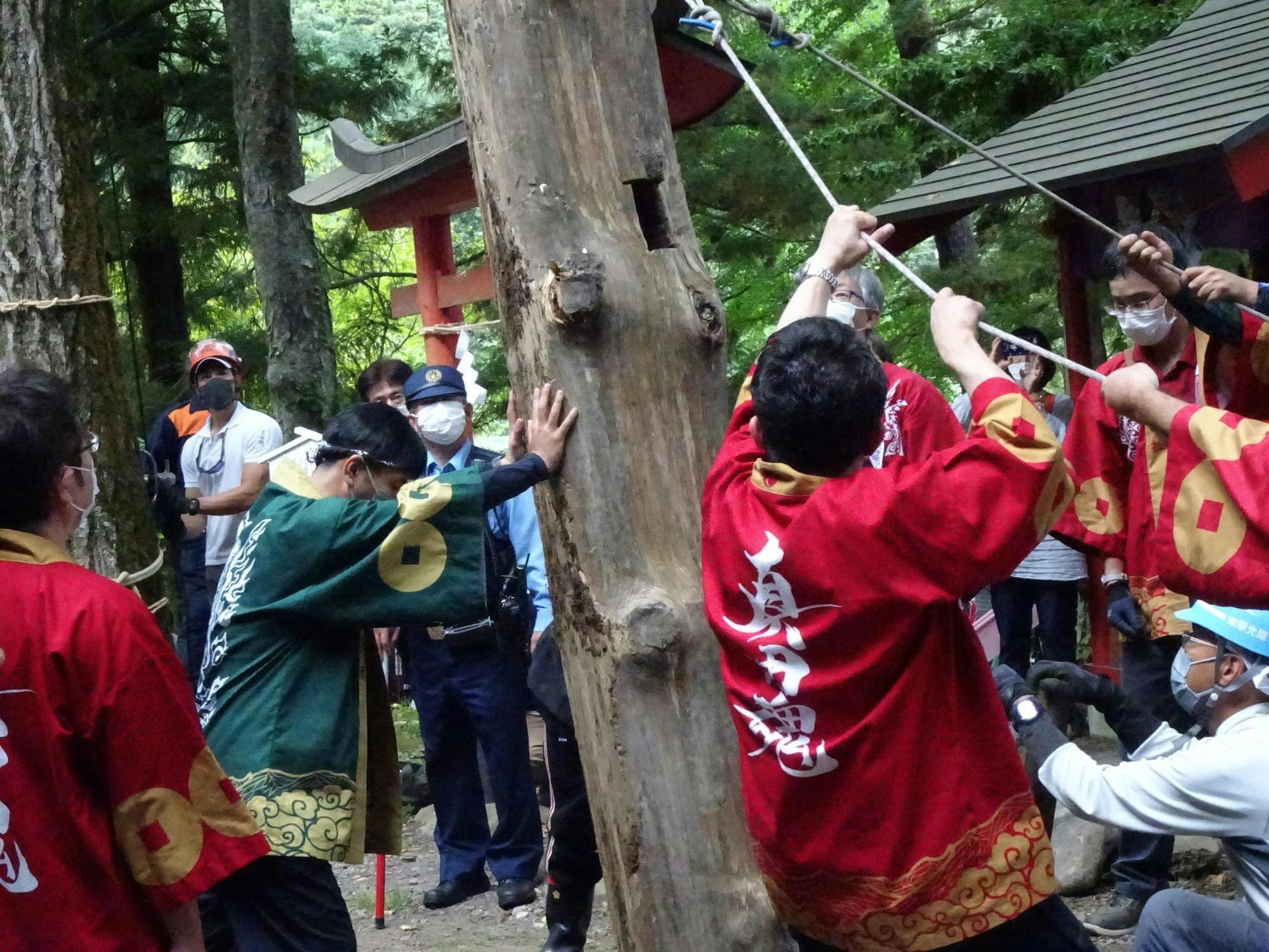 初の御柱祭を無事行うことができました！！ - CAMPFIRE