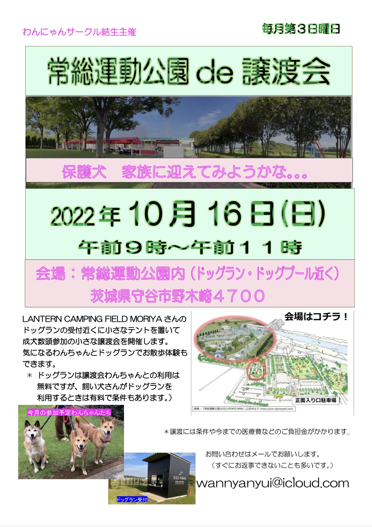 活動報告 成犬ちゃんの譲渡会 守谷市でも毎月開催します Campfire キャンプファイヤー