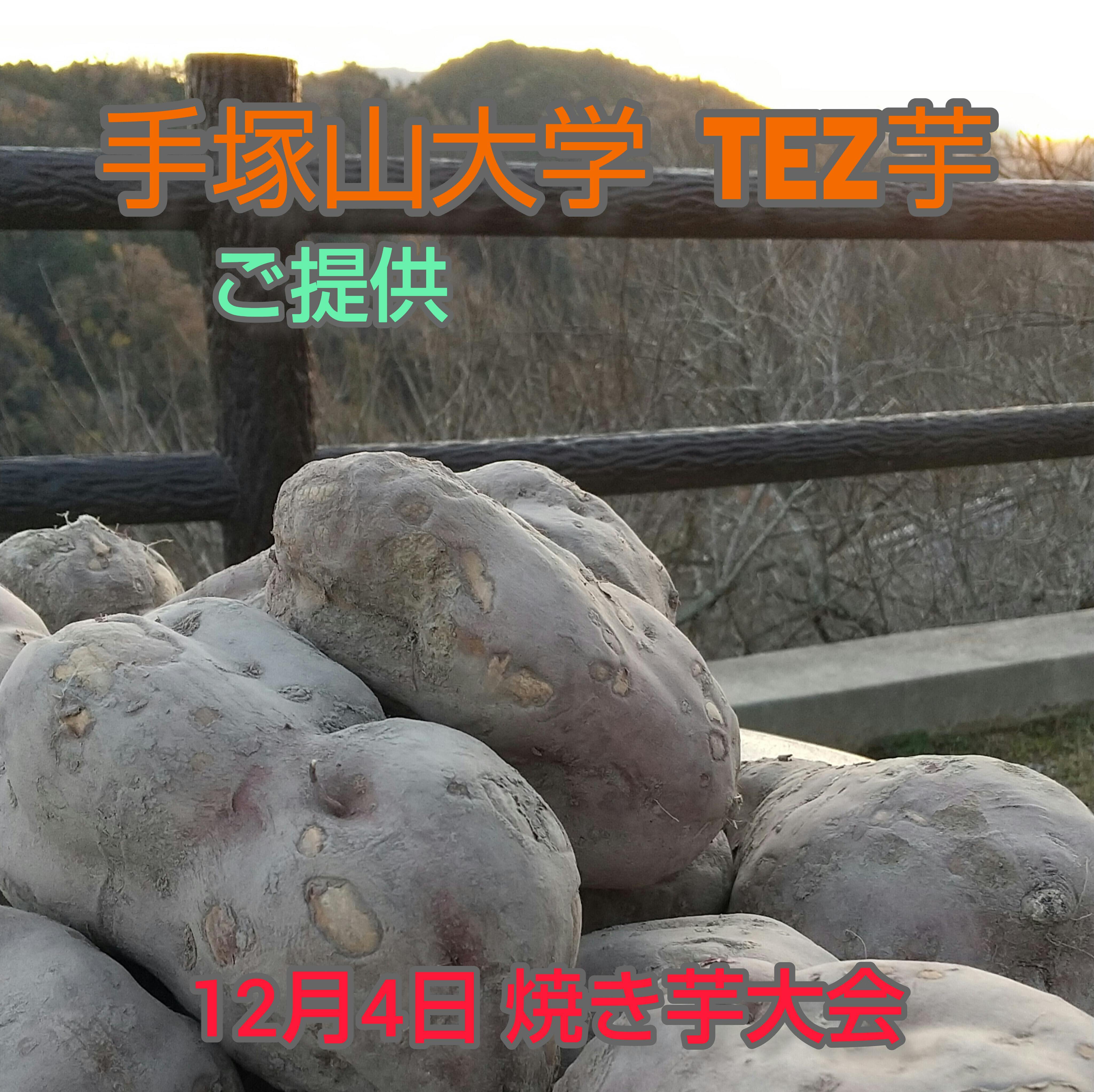 烏梅 3kg 奈良月ヶ瀬 国選定保存技術 - 健康茶