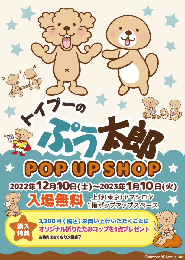 トイプーのぷう太郎 POP UP SHOP開催のお知らせ - CAMPFIRE (キャンプ 