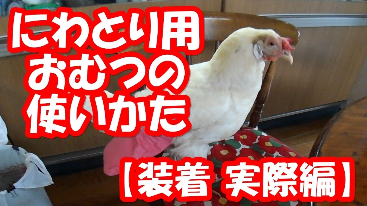 にわとり様 確認用 キャラクターグッズ 