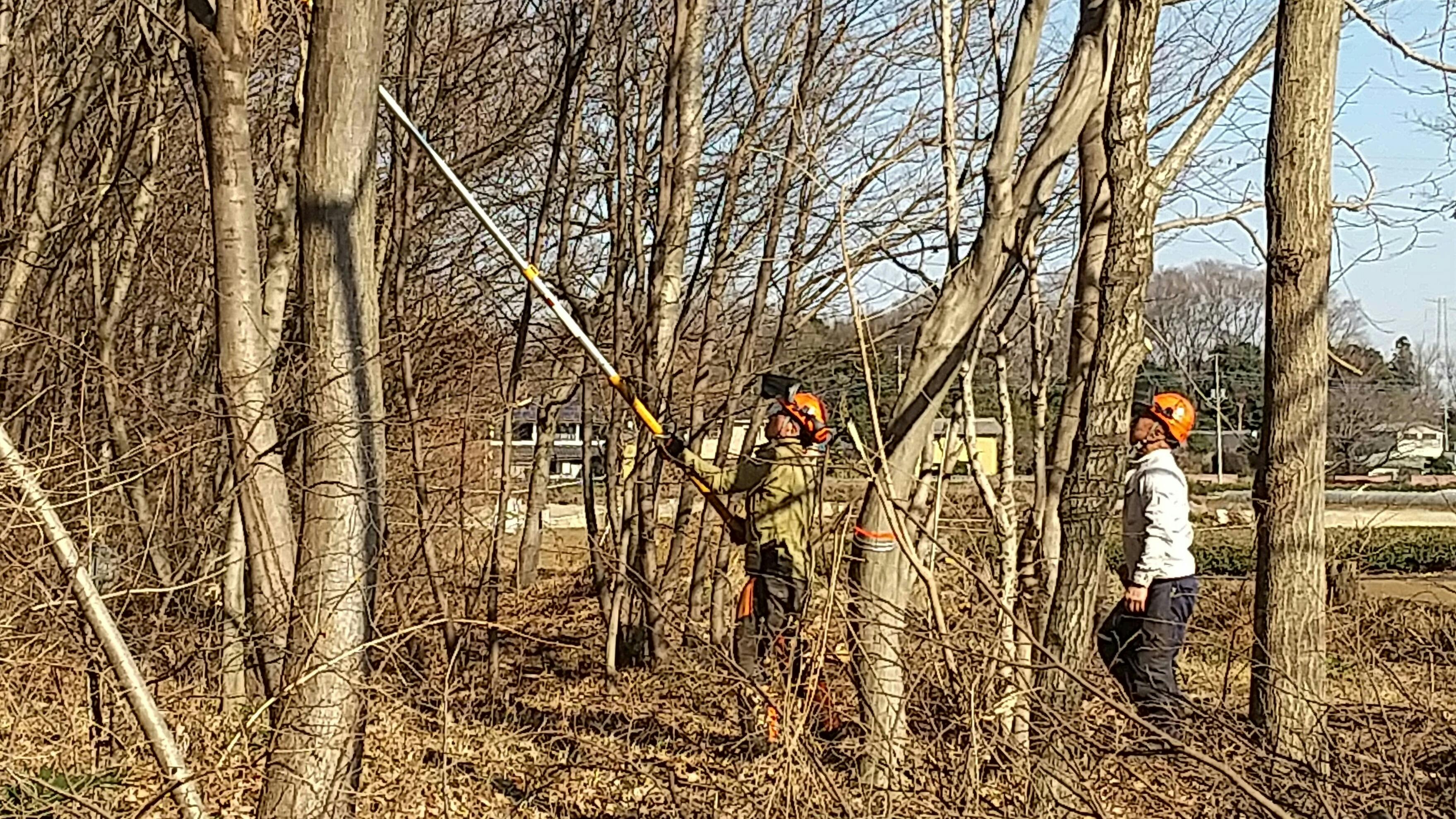 トトロの森様ご予約ページ My Neighbor Totoro (1988)|となりのトトロ |豆豆龍| Animal Crossing