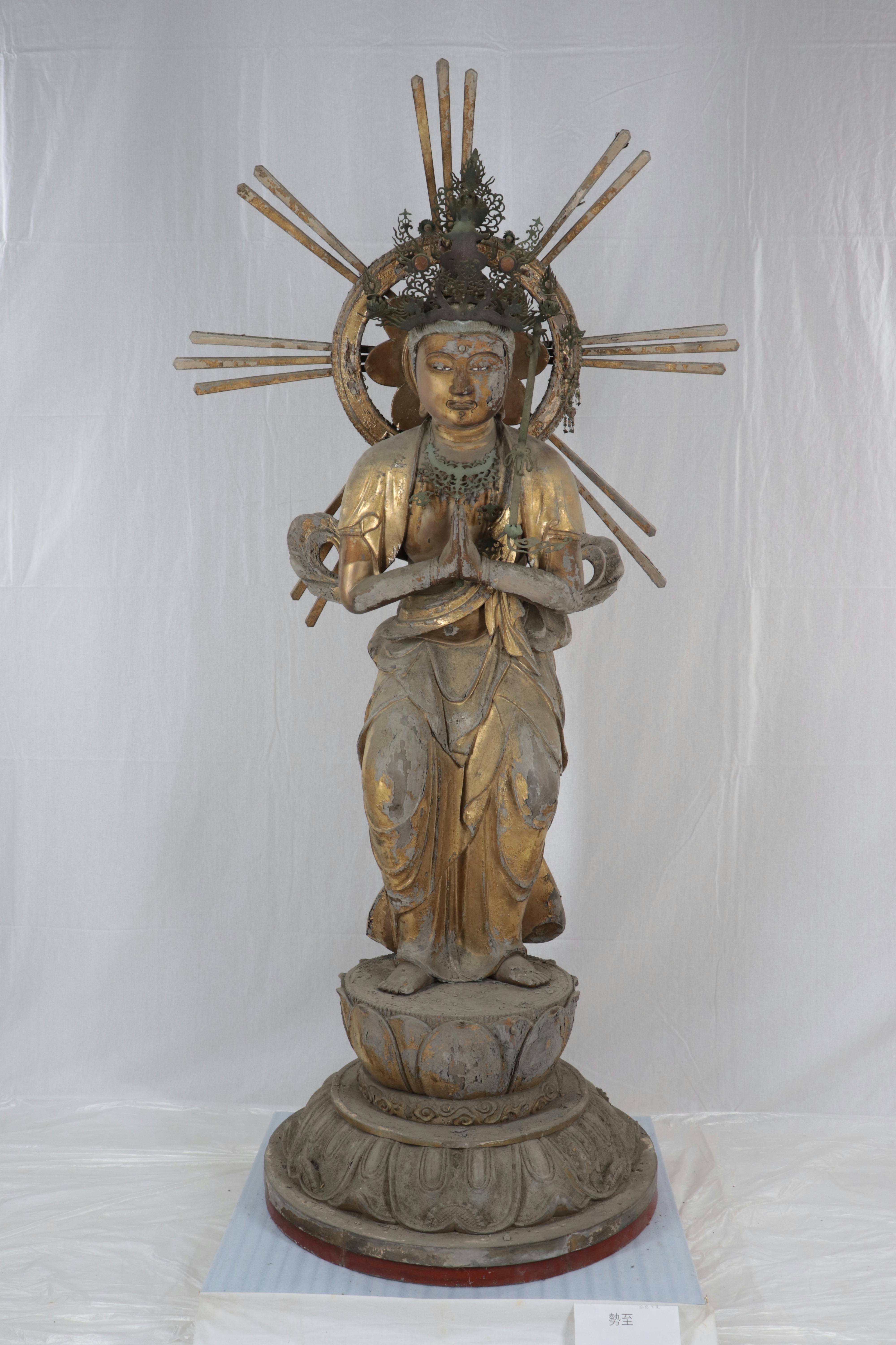 IMG_3113.JPG?ixlib=rails-2.1.4