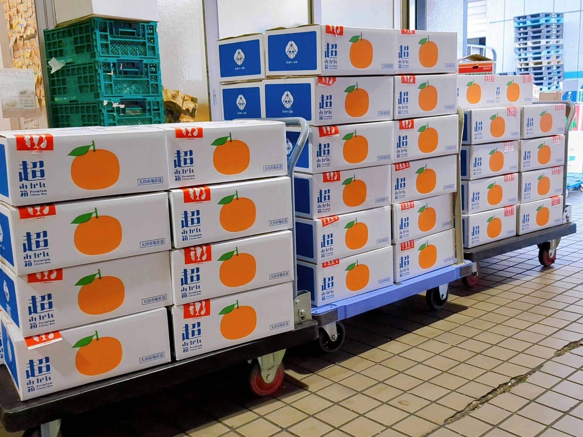 超みかん箱」発送完了しました！ - CAMPFIRE (キャンプファイヤー)