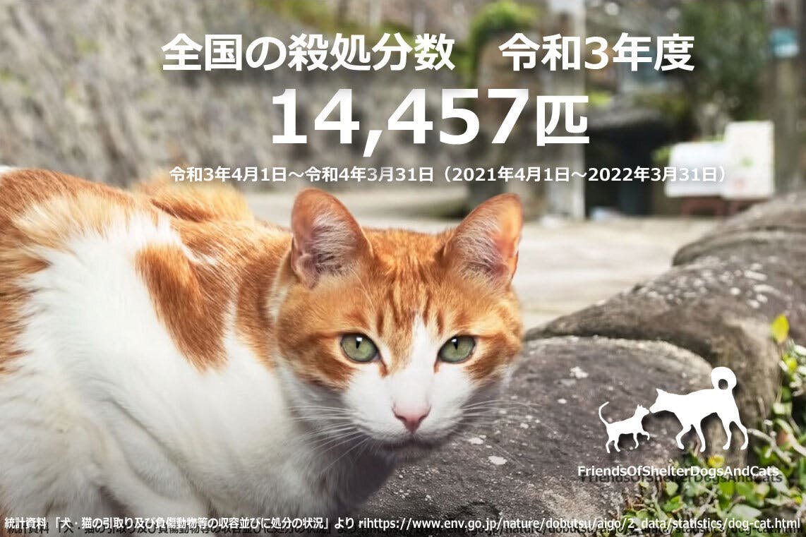 令和3年度（最新版）の犬猫の殺処分数が発表されました - CAMPFIRE