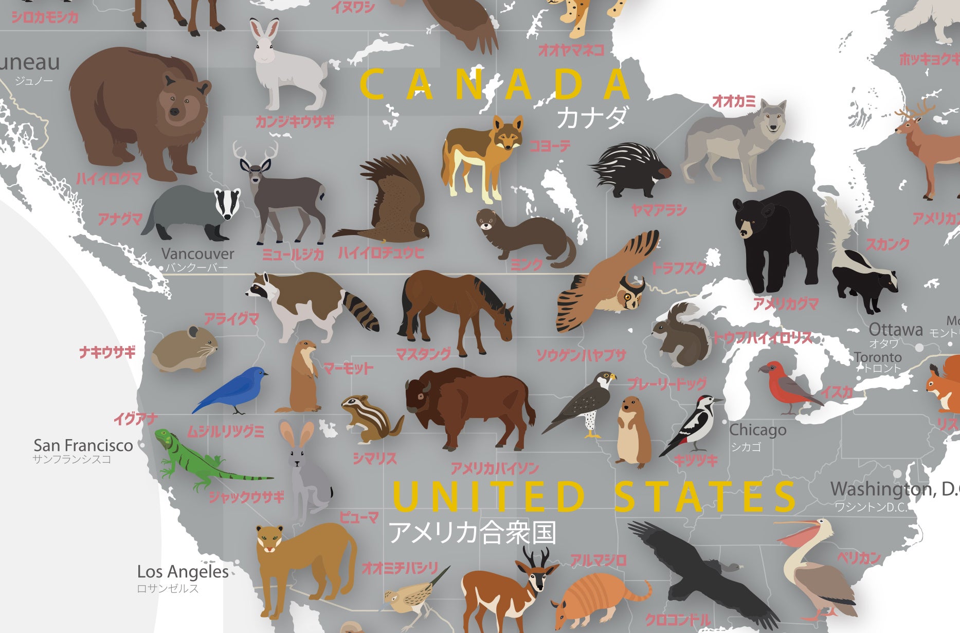 アメリカとカナダの国境辺りのこと『どうぶつせかいちず』 - CAMPFIRE